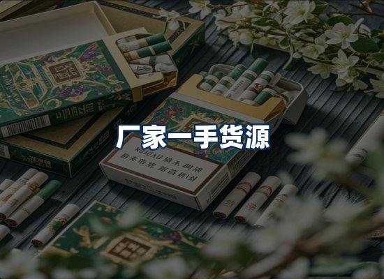 专业团队办公环境